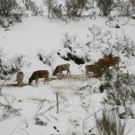 Camasobres-paisaje 004