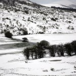 Camasobres-paisaje 013