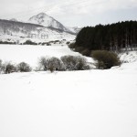 Casavegas-paisaje 012 (1)