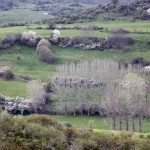 El Campo-mirador 015