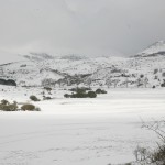 El Campo-paisaje 004