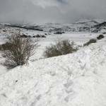 El Campo-paisaje 005