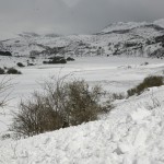 El Campo-paisaje 006