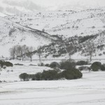 El Campo-paisaje 007