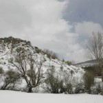 El Campo-paisaje 009
