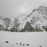 El Campo-paisaje 010