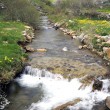 Lebanza 002 Lebanza 002